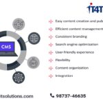 Why using travel CMS in travel website?